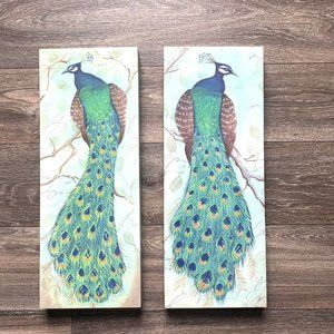 Steve Leal Peacock art print canvas 2
